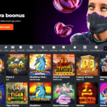 Ninja kasiino slotimängud