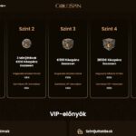 VIP program