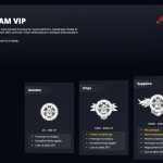 Program VIP