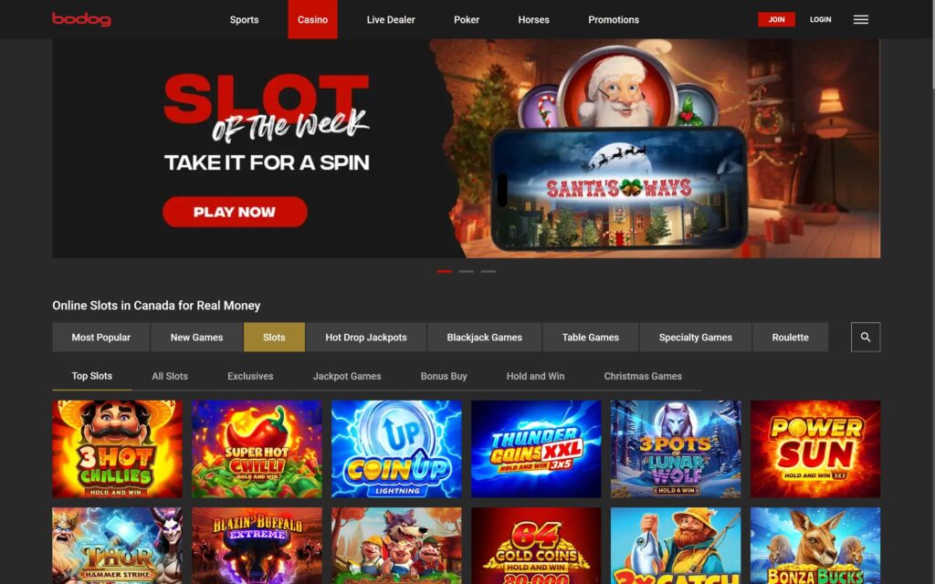 Bodog casino slots