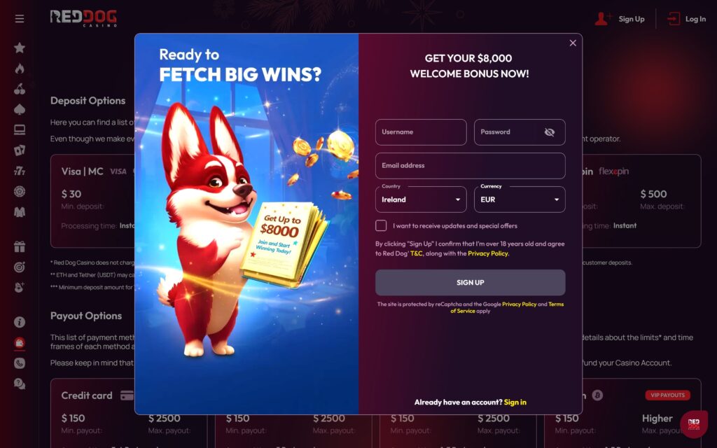 Red Dog casino registration