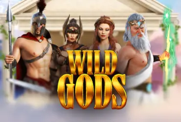 Wild Gods